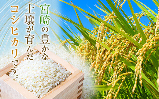 2024年8月出荷［先行予約］新米コシヒカリ 5kg 令和6年 収穫予定分 有洗米【A257-2024】