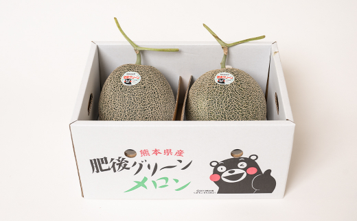 【先行予約】熊本県産 肥後グリーンメロン 2玉 (1玉1.8kg～2.2kg) 【2024年6月上旬より順次発送】