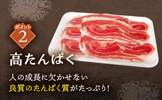 3回定期便】ジビエ 天然イノシシ肉 人気部位 総量2.1kg【照本食肉加工