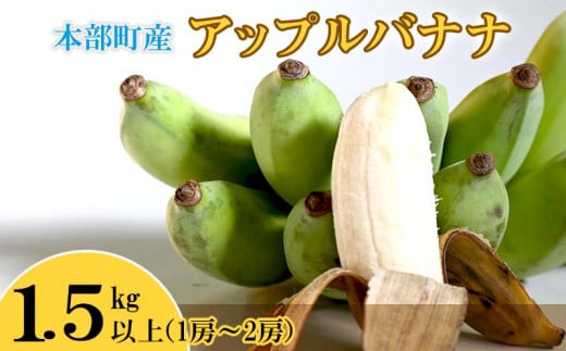 【2024年発送】本部町産アップルバナナ　1.5kg以上 809381 - 沖縄県本部町