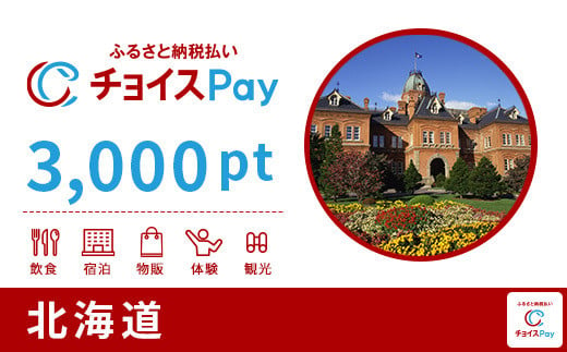 北海道チョイスPay 3,000pt（1pt＝1円）