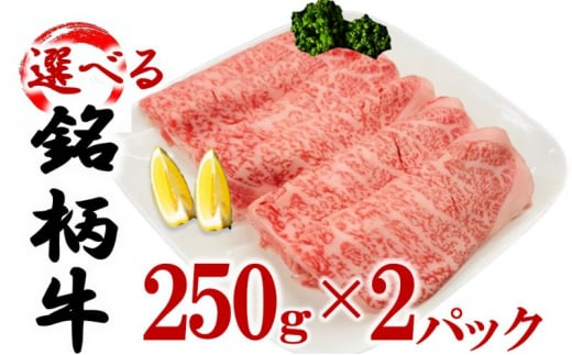 【宮崎牛】 選べる銘柄牛 肩ロース スライス  250ｇ×2パック 佐賀牛 宮崎牛 熊本牛 鹿児島牛 [№5802-7080] 1126876 - 茨城県結城市