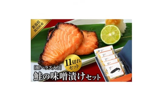 鮭の味噌漬けセット(2切入×4袋、ハラス3切入×1袋)【1390421】 714851 - 新潟県関川村