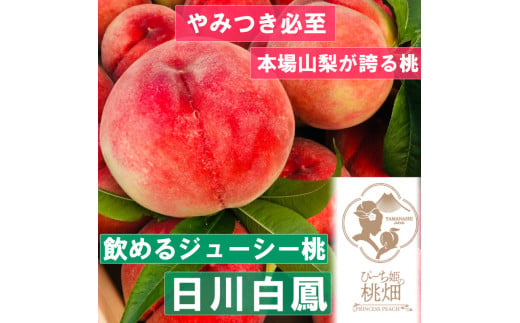 【果汁溢れる日川白鳳ブランド】ジューシー人気爆発 人気品種 約1kg【2025年発送】（PMK）B17-109 【桃 もも モモ 令和7年発送 期間限定 山梨県産 甲州市 フルーツ 果物】 1148440 - 山梨県甲州市