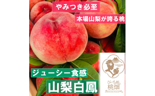 【ジューシー山梨白鳳ブランド】人気品種指定約1kg（３玉）【2024年発送】（PMK）B17-106 1148079 - 山梨県甲州市