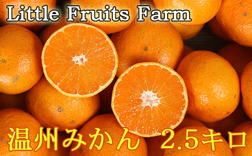 [訳あり品]リトルフルーツファームの温州みかん 約2.5kg みかん 柑橘類 訳あり 10月 11月 12月 1月 先行予約 2.5kg 温州みかん フルーツ 果物 [116-005_5]