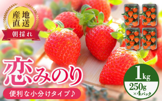 いちご「さちのか」約1kg （250g×4パック）苺 イチゴ 人気 甘い 糖度