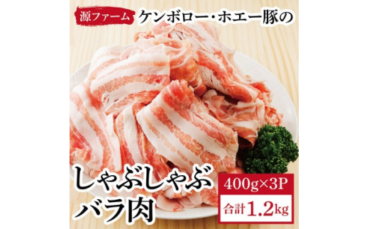 ケンボロー・ホエー豚 しゃぶしゃぶバラ肉1.2kgセット＜CT-019＞【1396955】