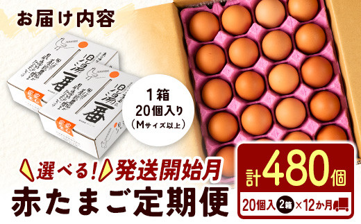 発送開始月が選べる!!＜児湯養鶏自慢の卵＞ネッカリッチ赤たまご「児湯一番」 計480個 （20個入×2箱）×12か月定期便【E19】