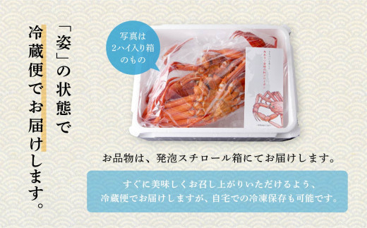 秋田県潟上市のふるさと納税 日本海沖産 紅ズワイガニ500g前後×2匹 約1.0kg/冷蔵