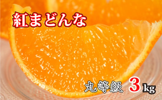 化粧箱入り 紅まどんな 丸等級 約3kg (サイズおまかせ) みかん 柑橘 ブランド まどんな 愛媛県 松山市 紅まどんな 愛媛県産紅まどんな 紅マドンナ 高級柑橘 紅まどんな べにまどんな 約3kgの紅まどんな オススメの紅まどんな ふるさと納税紅まどんな 紅まどんな 1150788 - 愛媛県松山市