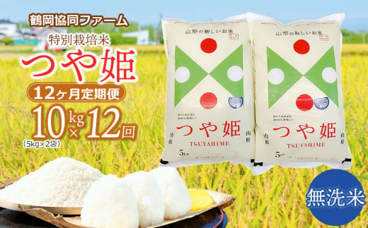【令和6年産先行予約】特別栽培米つや姫 無洗米 10kg (5kg×2袋)×12ヶ月【定期便】　鶴岡協同ファーム