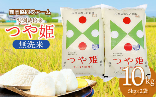 令和6年産先行予約】 特別栽培米つや姫 10kg (5kg×2袋) 山形県鶴岡産