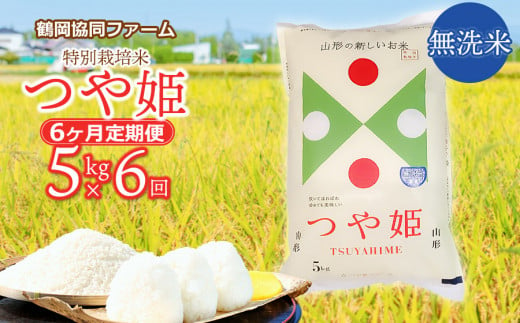 令和5年産】【6ヶ月定期便】工藤さんの特別栽培米 つや姫無洗米 5kg×6