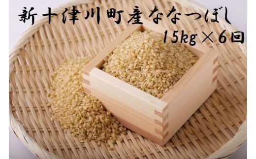 ななつぼし玄米定期便(15kg×6回) ※偶数月にお届け[11011]