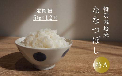 【定期便】特別栽培米ななつぼし 5kg×12回 舟山農産 1150699 - 北海道当麻町