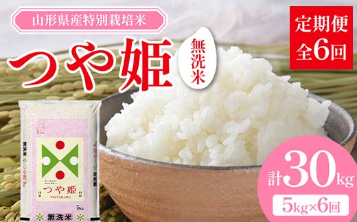 山形県産 特別栽培米 無洗米 つや姫 5kg（BG無洗米） 全6回定期便  米 お米 防災 備蓄 災害対策 コメ ごはん ご飯 食品 山形県 F2Y-3742 1163342 - 山形県山形県庁