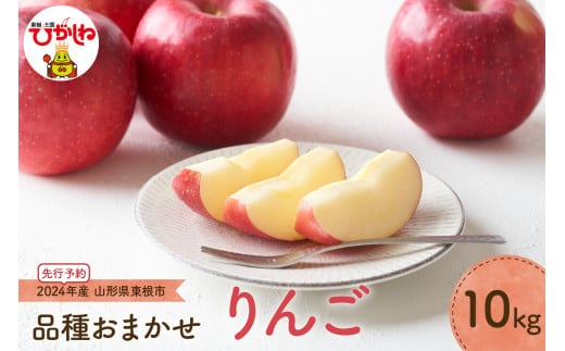 【2024年産 先行予約】 りんご(品種おまかせ)10kg JA提供　hi003-111 1151092 - 山形県東根市