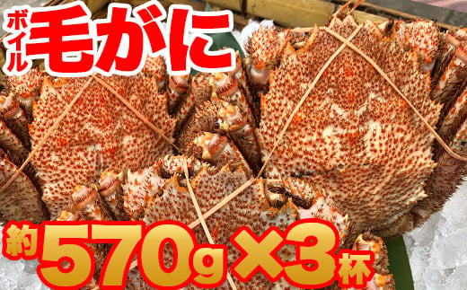 【訳あり】北海道産 冷凍ボイル毛がに（約570g×3杯）1.71kg かに 蟹 かにみそ 小分け 毛蟹 海産物 魚介類 水産物応援 水産物支援 年内発送 NP1-438