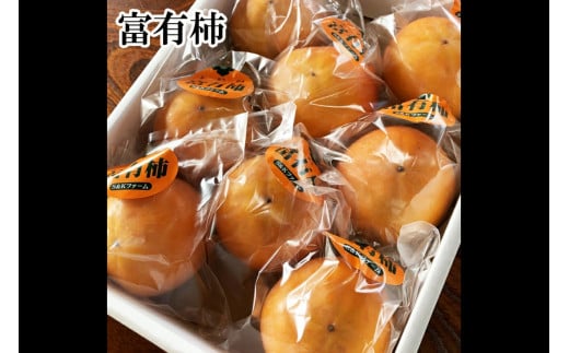 【SK03_12】鳥取県産富有柿　3kg相当　<出荷：12月> 1262134 - 鳥取県南部町