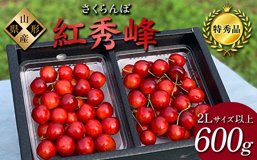 2024年産 さくらんぼ「紅秀峰」600g 特秀品 2Lサイズ以上 山形県産 FSY-1208 1168441 - 山形県山形県庁