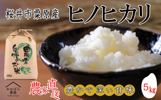 M-AB53.先行予約販売[玄米]令和6年度産 桜井市粟原産ヒノヒカリ 5kg