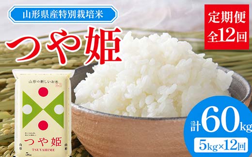 山形県産 特別栽培米 つや姫 5kg 全12回定期便  米 お米 ブランド米 銘柄米 備蓄 日本米 コメ ごはん ご飯 食品 山形県 F2Y-3737 1163337 - 山形県山形県庁