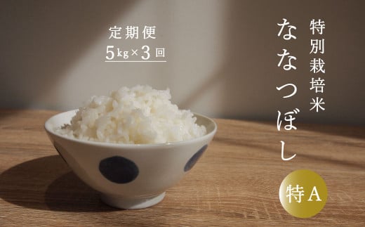 【定期便】特別栽培米ななつぼし 5kg×3回 舟山農産 1150697 - 北海道当麻町