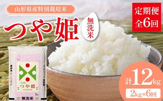 山形県産 特別栽培米 無洗米 つや姫 2kg（BG無洗米） 全6回定期便  米 お米 防災 備蓄 災害対策 コメ ごはん ご飯 食品 山形県 F2Y-3739 1163339 - 山形県山形県庁