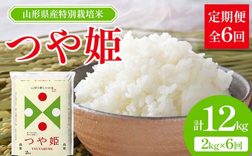 山形県産 特別栽培米 つや姫 2kg 全6回定期便  米 お米 ブランド米 銘柄米 備蓄 日本米 コメ ごはん ご飯 食品 山形県 F2Y-3734 1163334 - 山形県山形県庁