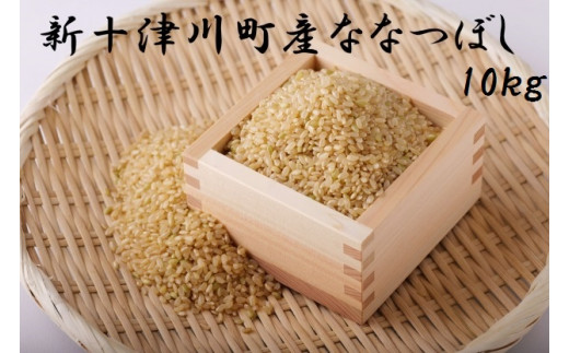 ななつぼし玄米（10kg）【11010】 1071369 - 北海道新十津川町