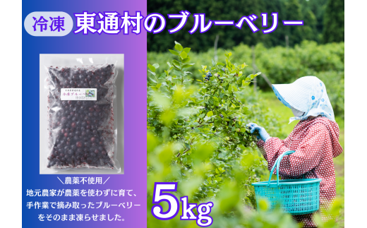 【A-01-07】冷凍ブルーベリー（5㎏） 1007447 - 青森県東通村
