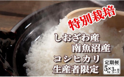 【定期便：5Kg×3ヶ月】特別栽培 生産者限定  南魚沼しおざわ産コシヒカリ