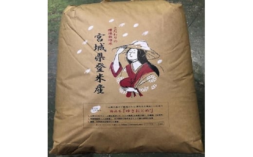 こだわりの登米産つや姫精米２７ｋｇ一等米 1150524 - 宮城県登米市