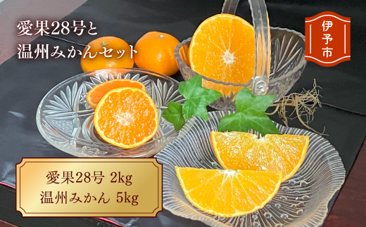 《残りわずか！》愛果28号と温州みかんのセット 小玉マルチ 年内配送 人気 数量限定 みかん 愛媛 柑橘 伊予市｜B163