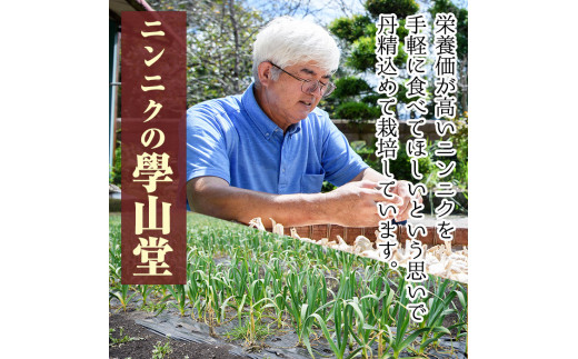 B69001  ＜先行予約受付中！2024年6月より準備ができ次第発送＞學山堂の黒にんにくミックス(計900g・黒にんにく150g×3袋、ジャンボ黒にんにく150ｇ×3袋)  【ニンニクの學山堂】