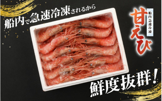 [m21-a028] 新鮮美味！ 甘エビ(船凍甘エビ 大サイズ)約500g おいしいたまり醤油付【えび エビ 海老 甘えび 海鮮 お造り 刺身 おせち  海鮮丼 生食 急速冷凍 福井】