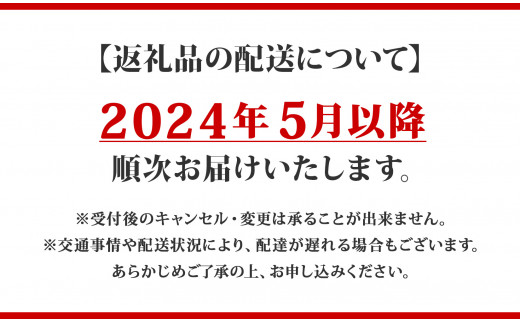 先行受付【2024年5月以降順次出荷】北海道 倶知安 牛すじカレー 200g