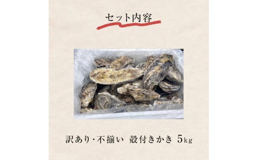 訳あり・不揃い＞ 冷凍殻付き牡蠣 5kg 宮城県 石巻市 三陸産 カキ かき