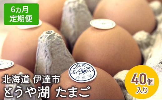 [№5525-0920]【6ヵ月 定期便】 北海道 伊達市 とうや 卵  40個 入り たまご 1279817 - 北海道伊達市