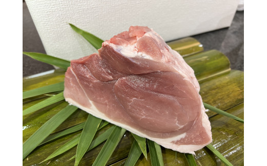 ブランド豚「ばんぶぅ」小分け モモスライス 1kg(500g×2パック) 豚肉 モモ肉 もも肉 スライス肉 薄切り うす切り 薄切り肉 ぶた肉 国産 茨城県産 ギフト プレゼント 冷凍 高級部位 ブランド豚