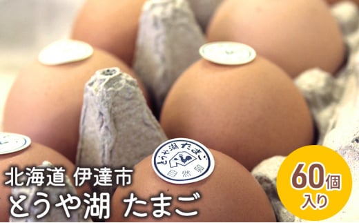 [№5525-0911]北海道 伊達市 とうや 卵  60個 入り たまご 1279808 - 北海道伊達市
