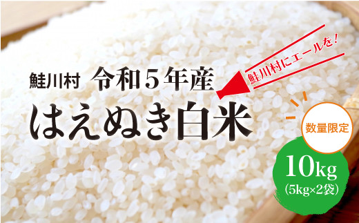 鮭川村にエールを！　令和5年産　はえぬき【白米】10kg（5kg×2袋）山形県鮭川村 1152434 - 山形県鮭川村