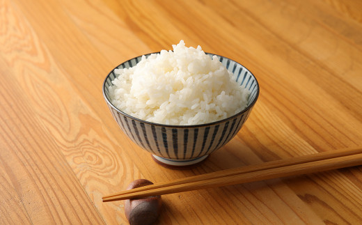 【令和5年産】水上村のお米 ヒノヒカリ 10kg入り 精米 米 1153059 - 熊本県水上村
