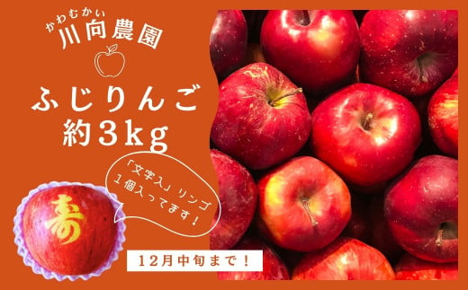 【12月中旬まで！】 文字入り ふじりんご 3kg （約10個～12個） 林檎 リンゴ 果物 果実 くだもの フルーツ 農家直送 減農薬 人気 ランキング ギフト プレゼント 贈答 熨斗 のし 福島県 福島 田村市 田村 ふくしま たむら 川向農園 1530824 - 福島県田村市