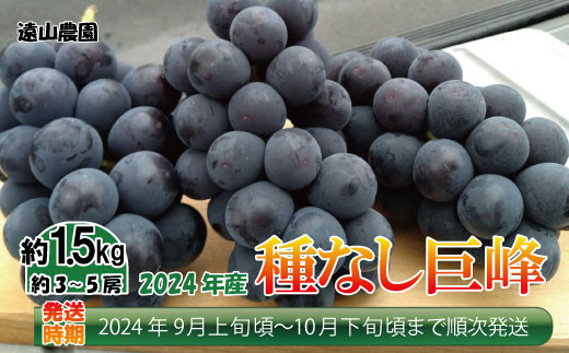 No.5657-3799]【先行予約】2024年産【種なし巨峰】約2kg（約4～6房