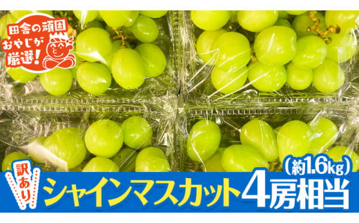 【 訳あり 】 シャインマスカット 4房相当（約1.6kg） 【令和6年9月より発送開始】 田舎の頑固おやじが厳選！