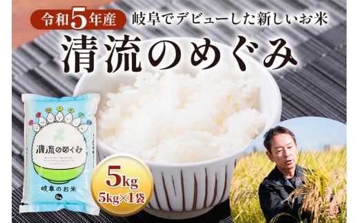 令和5年産 岐阜でデビューした新しいお米 清流のめぐみ5kg×1袋 [1427] 1095405 - 岐阜県本巣市