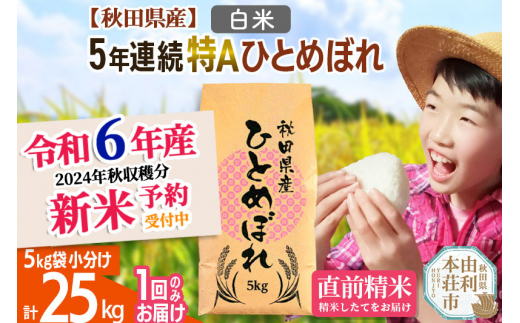 令和6年産 新米予約※《定期便5ヶ月》【玄米】5年連続特A 秋田県産