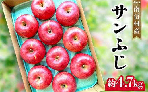 南信州産サンふじ約4.7kg【1064546】 1074960 - 長野県飯田市